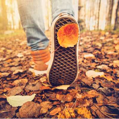 5 Fun, Healthy Ways To Make The Most Of The Crisp Fall Days