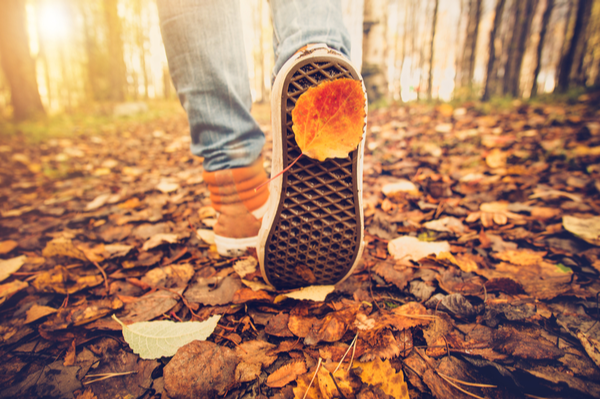 5 Fun, Healthy Ways To Make The Most Of The Crisp Fall Days