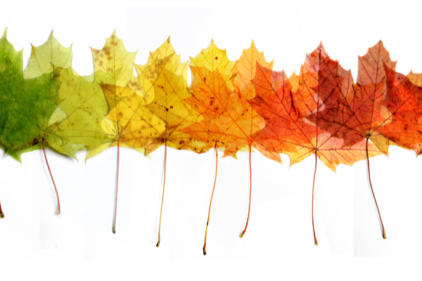 How To Prepare Your Mind And Body For A Seasonal Transition